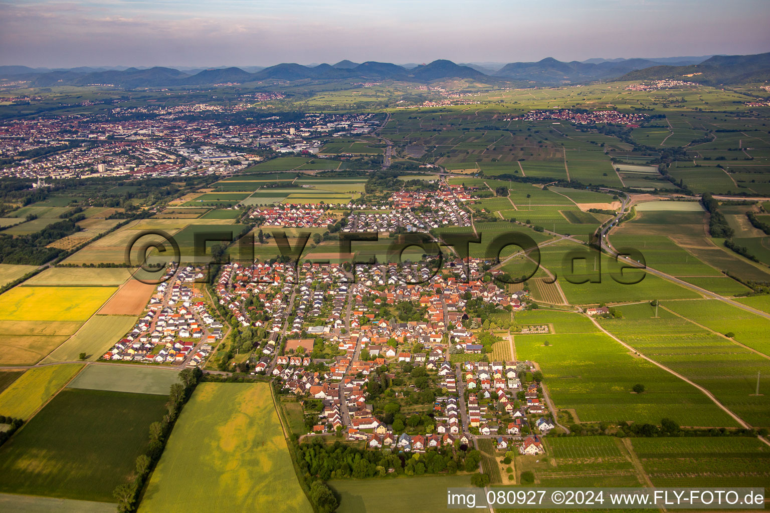 Vue aérienne de De l'est à Bornheim dans le département Rhénanie-Palatinat, Allemagne