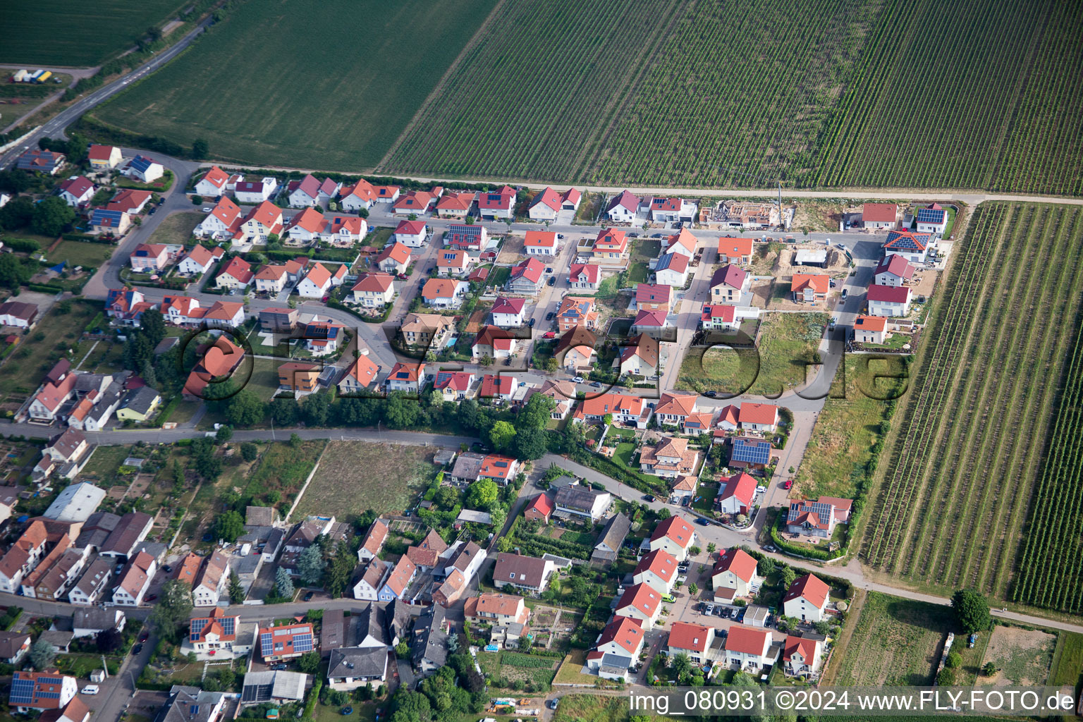 Photographie aérienne de Essingen dans le département Rhénanie-Palatinat, Allemagne