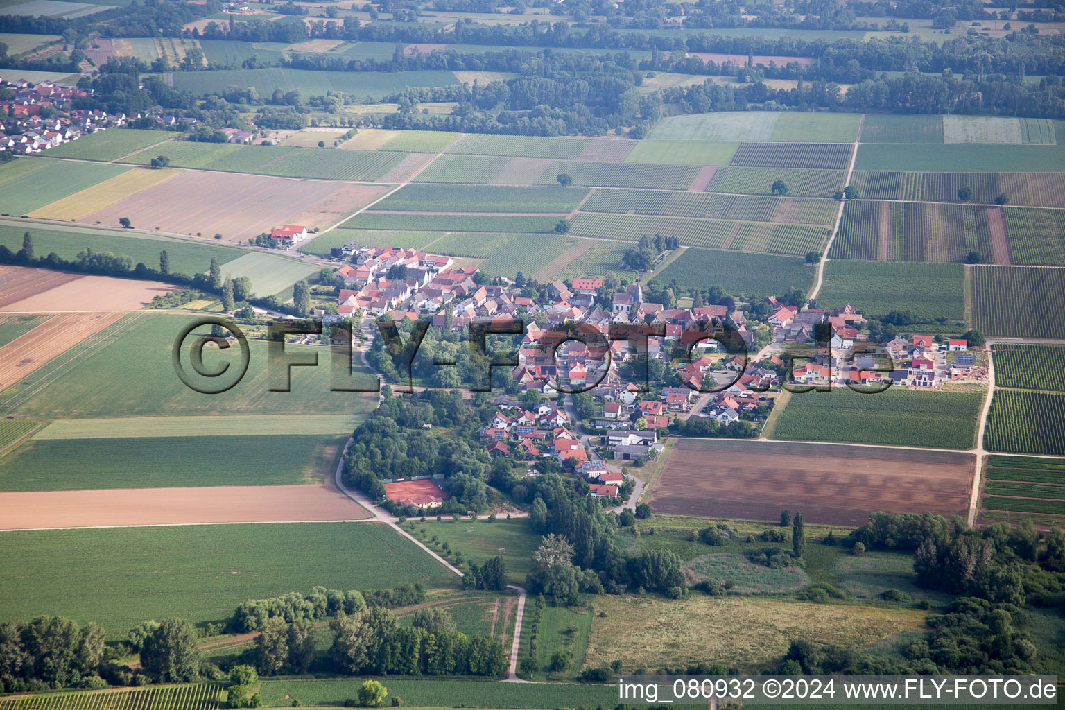 Vue aérienne de Kleinfischlingen dans le département Rhénanie-Palatinat, Allemagne