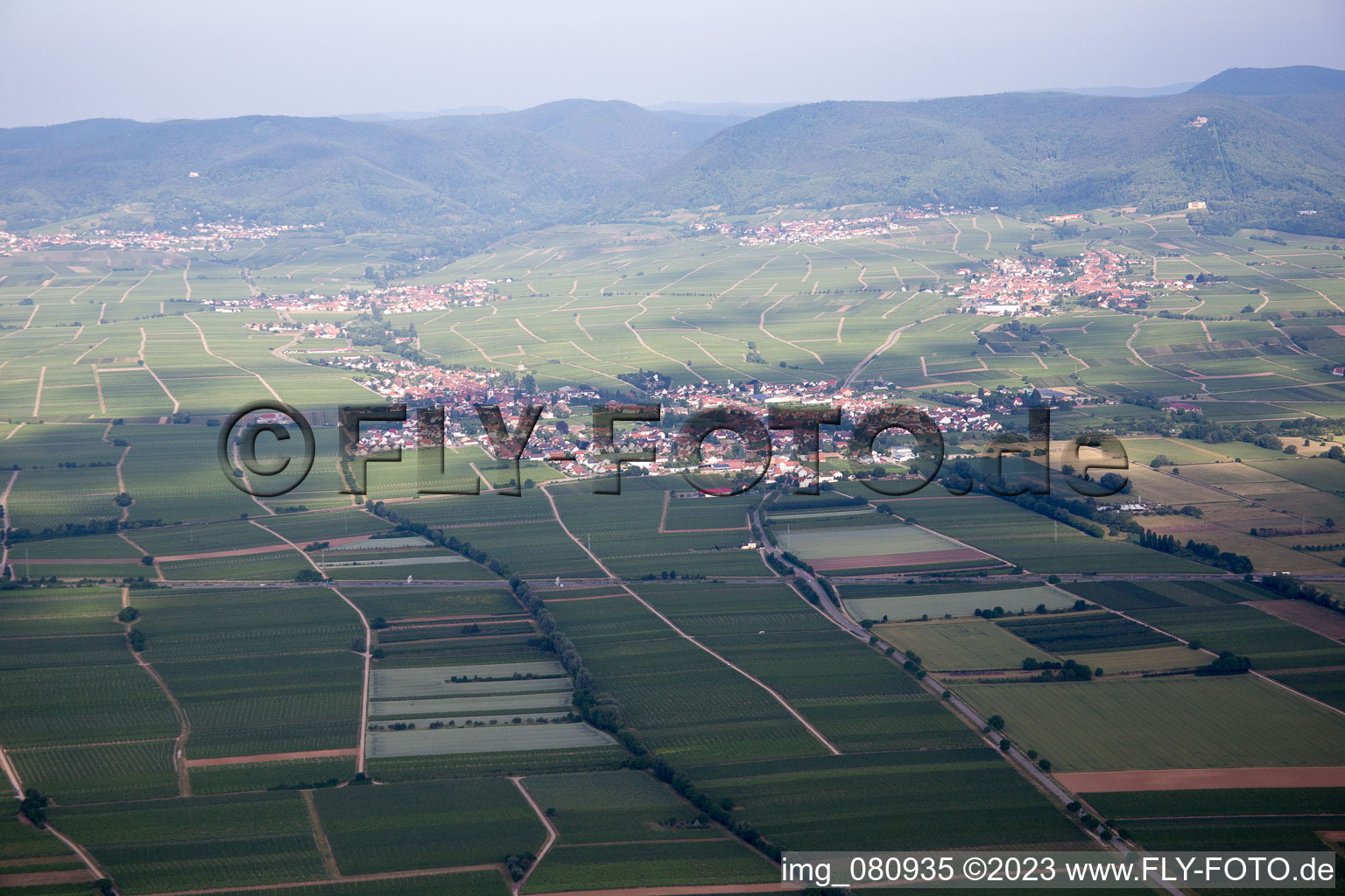 Vue aérienne de De l'est à Edesheim dans le département Rhénanie-Palatinat, Allemagne