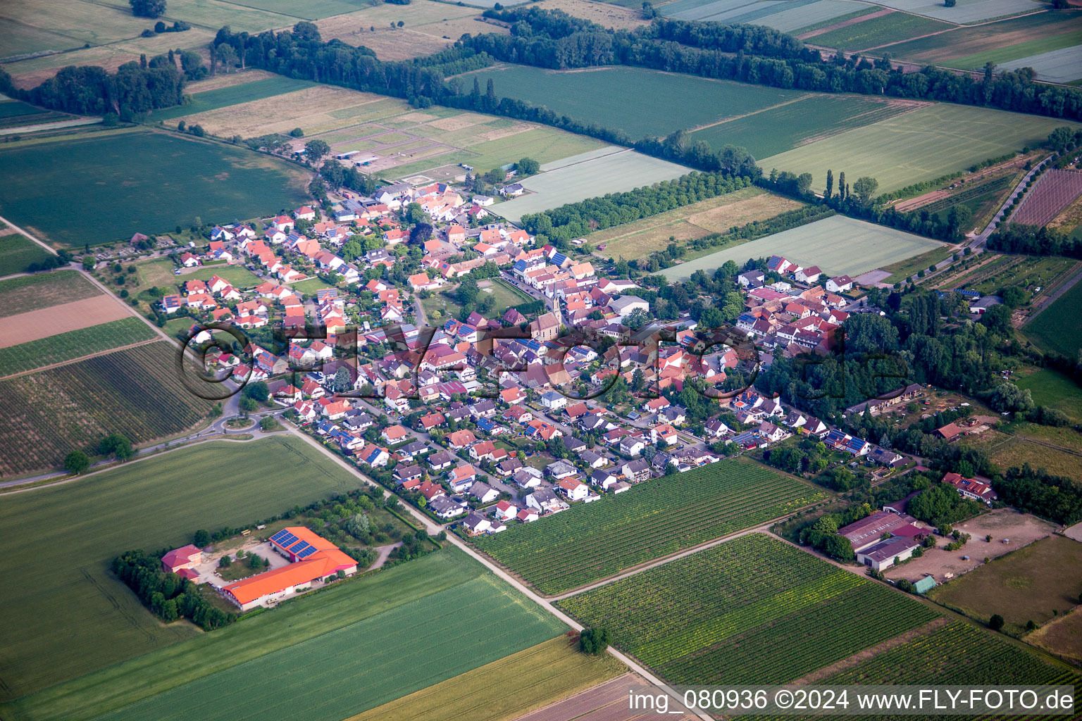 Vue aérienne de Champs agricoles et surfaces utilisables à Großfischlingen dans le département Rhénanie-Palatinat, Allemagne