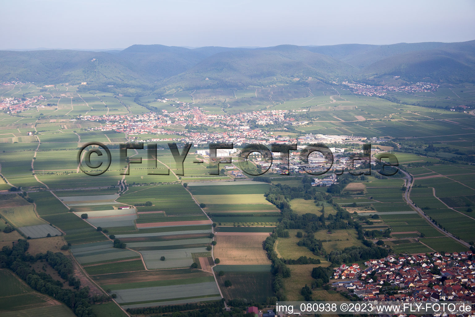 Vue aérienne de De l'est à Edenkoben dans le département Rhénanie-Palatinat, Allemagne