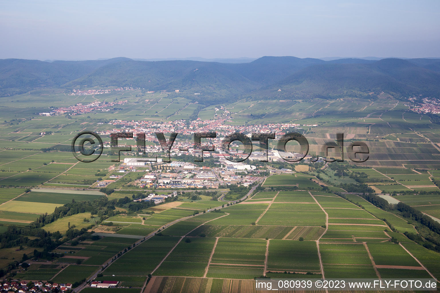 Vue aérienne de Edenkoben dans le département Rhénanie-Palatinat, Allemagne