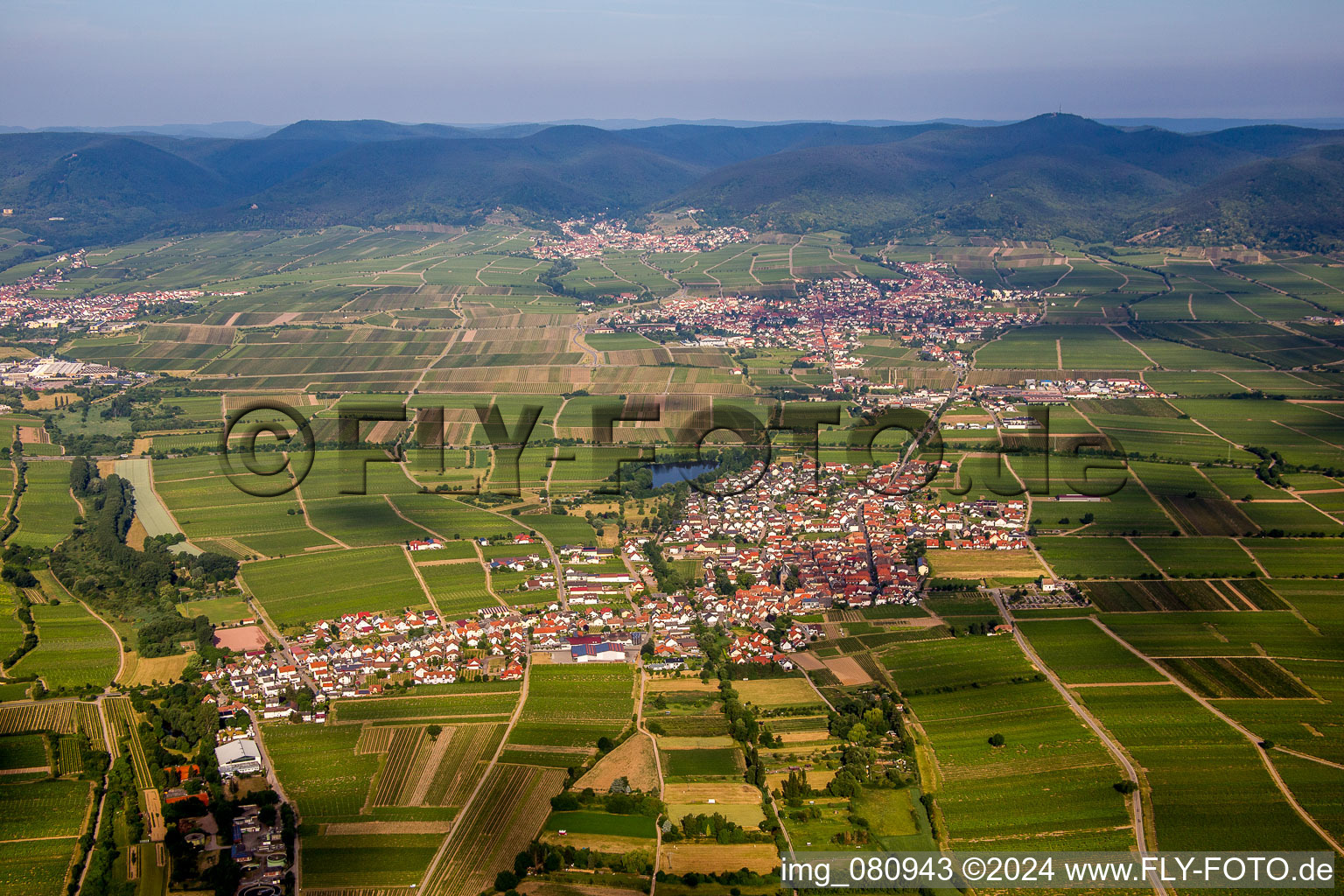 Vue aérienne de (Palatinat) à Kirrweiler dans le département Rhénanie-Palatinat, Allemagne