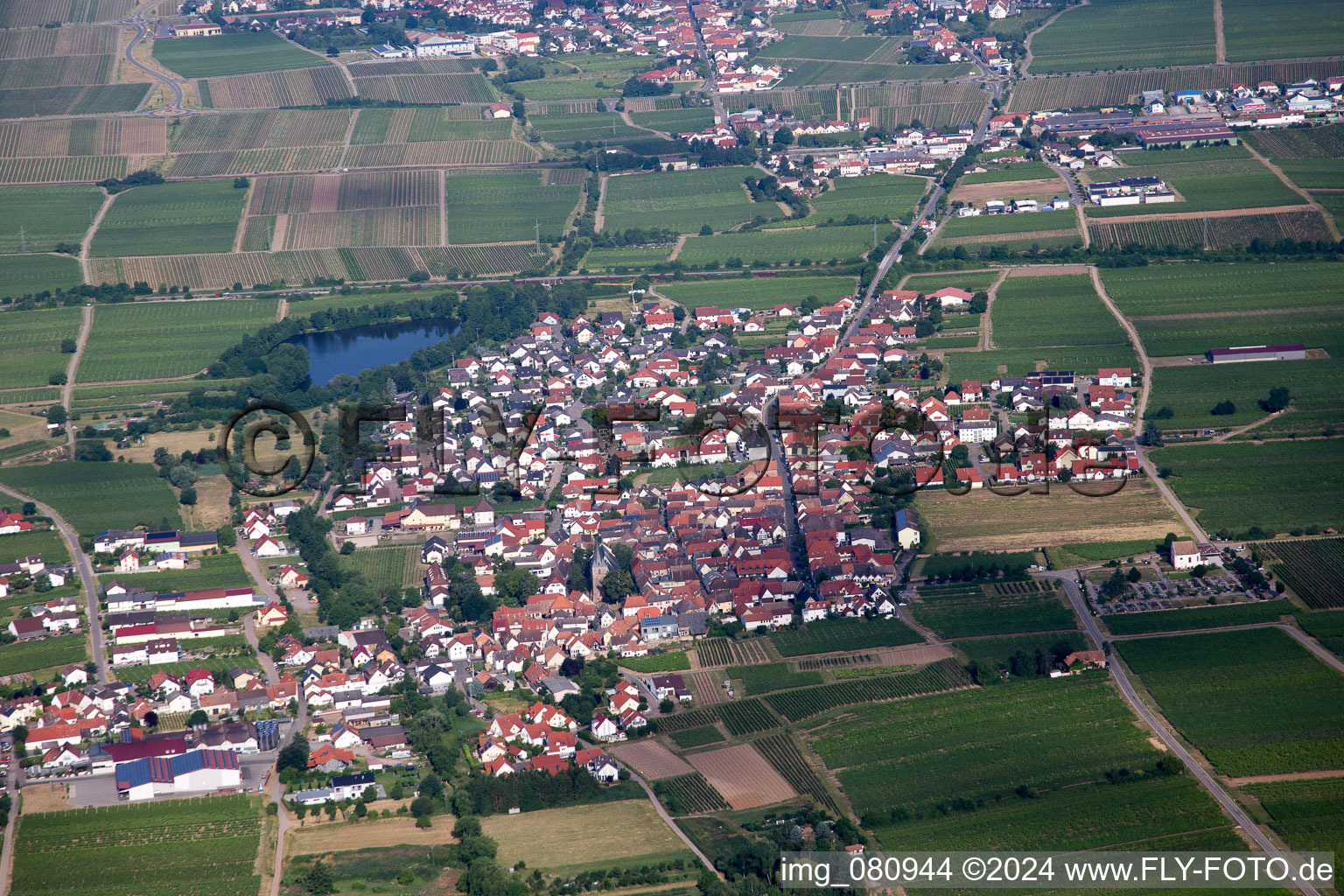 Vue oblique de Kirrweiler dans le département Rhénanie-Palatinat, Allemagne