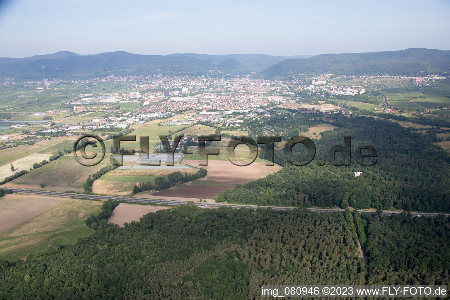 Photographie aérienne de Quartier Speyerdorf in Neustadt an der Weinstraße dans le département Rhénanie-Palatinat, Allemagne