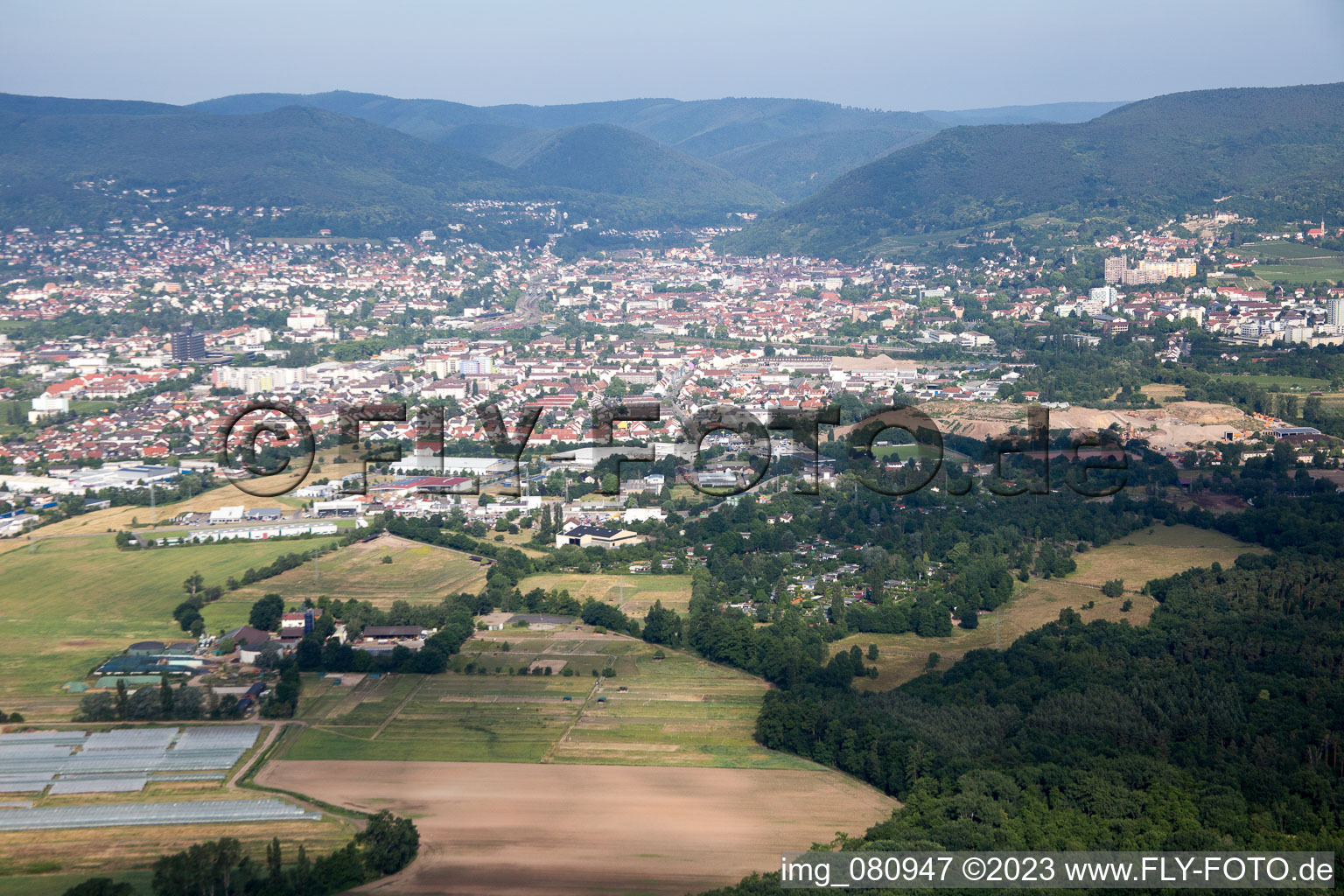 Vue aérienne de Neustadt an der Weinstraße dans le département Rhénanie-Palatinat, Allemagne