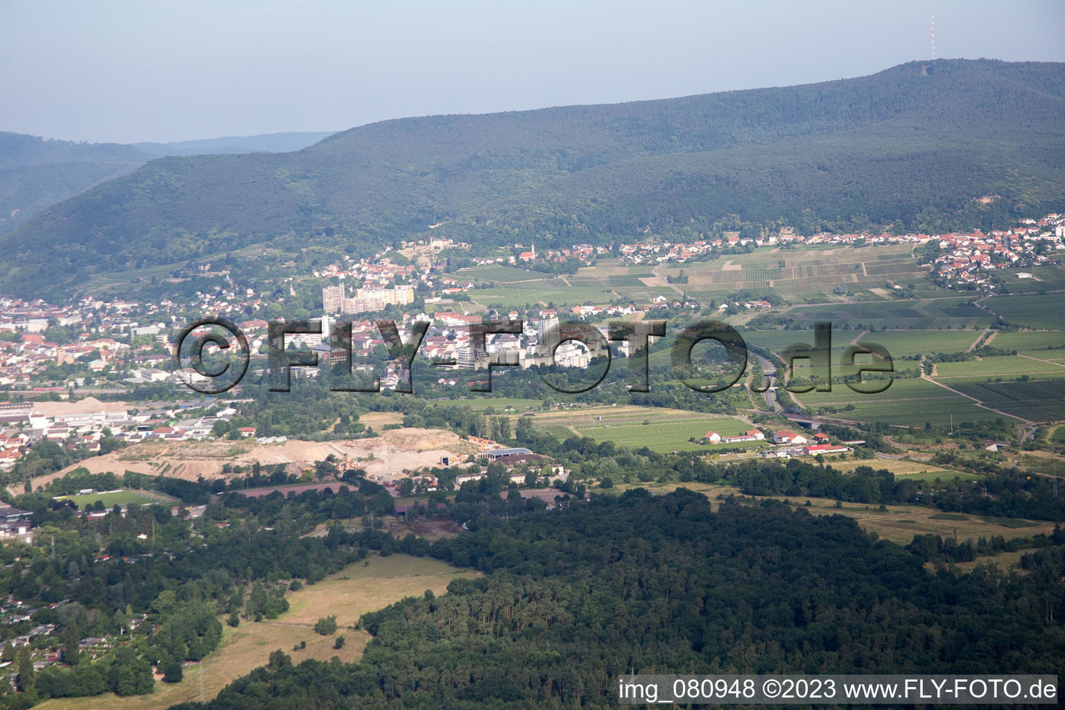 Vue aérienne de Neustadt an der Weinstraße dans le département Rhénanie-Palatinat, Allemagne