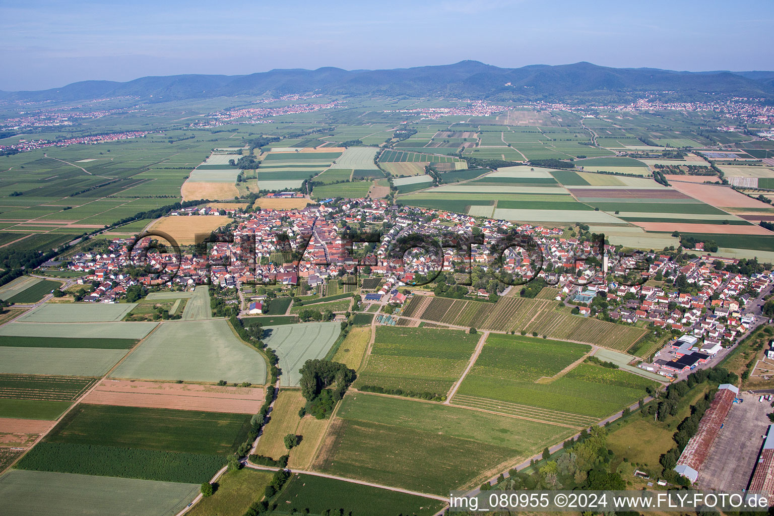 Quartier Lachen in Neustadt an der Weinstraße dans le département Rhénanie-Palatinat, Allemagne d'en haut