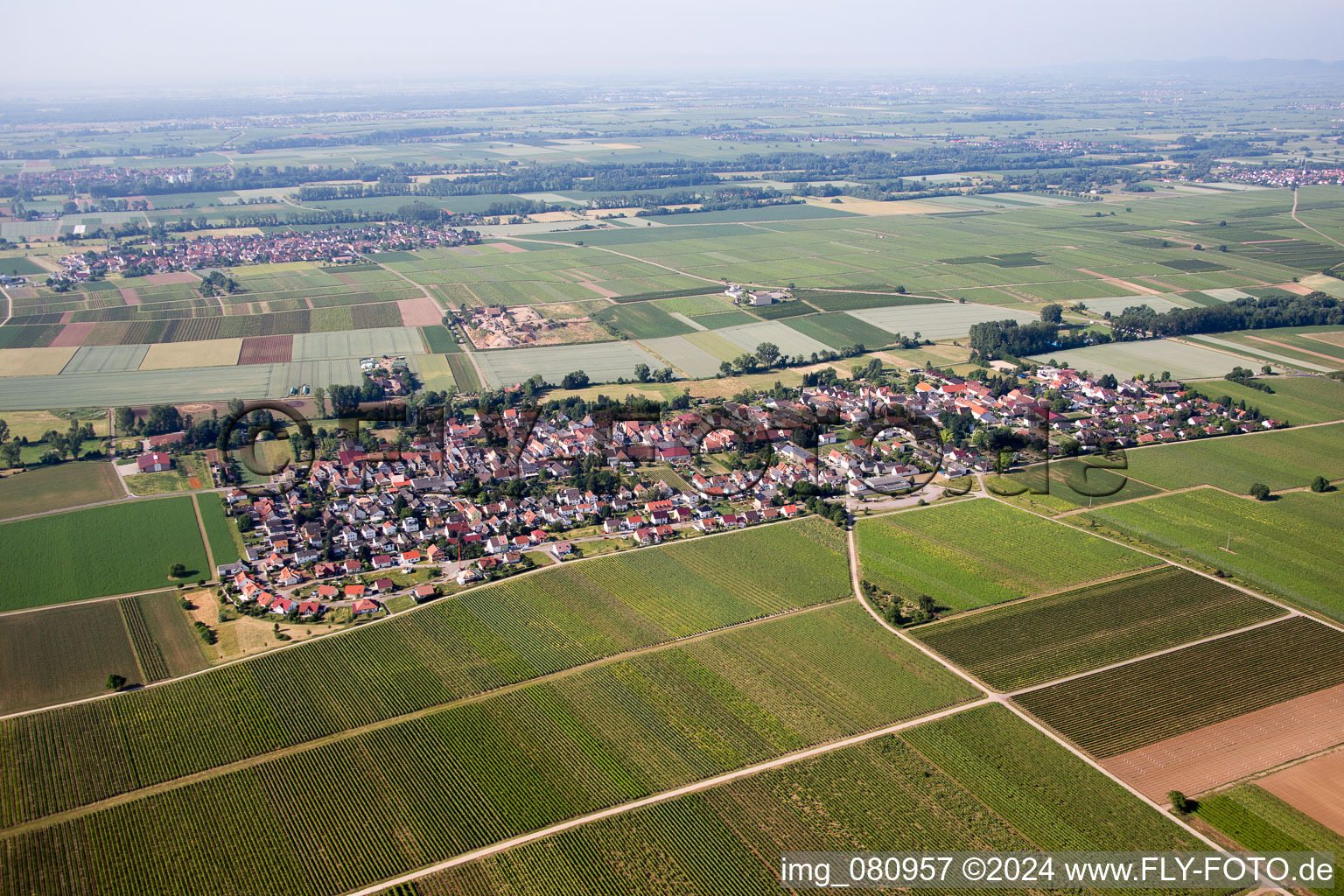 Vue aérienne de Quartier Duttweiler in Neustadt an der Weinstraße dans le département Rhénanie-Palatinat, Allemagne