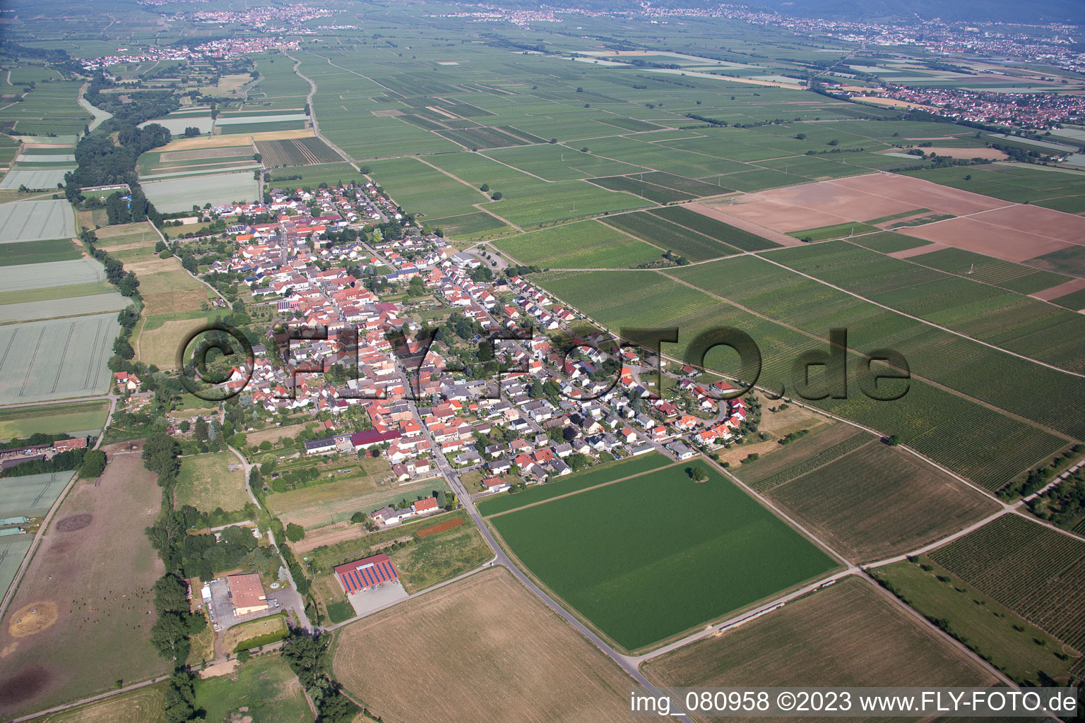 Vue aérienne de Quartier Duttweiler in Neustadt an der Weinstraße dans le département Rhénanie-Palatinat, Allemagne