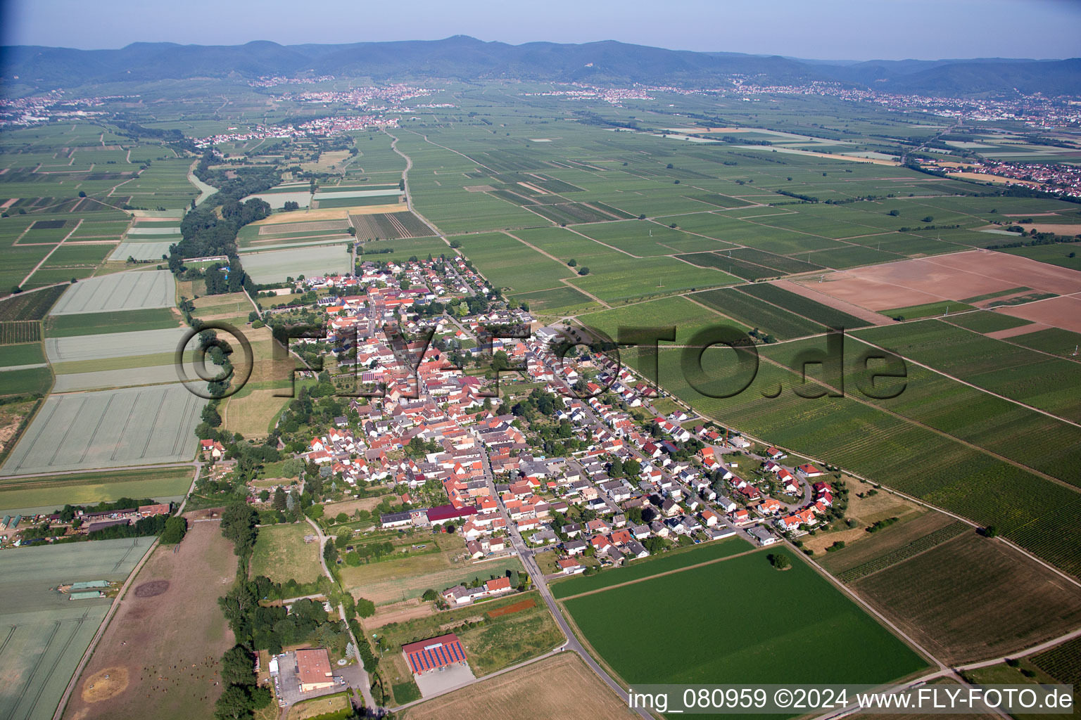 Photographie aérienne de Quartier Duttweiler in Neustadt an der Weinstraße dans le département Rhénanie-Palatinat, Allemagne