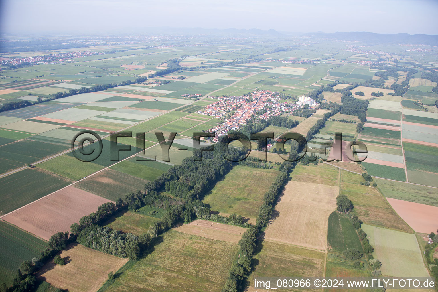 Vue aérienne de Freimersheim dans le département Rhénanie-Palatinat, Allemagne