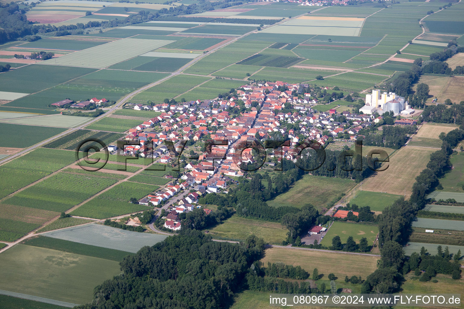 Vue aérienne de Freimersheim dans le département Rhénanie-Palatinat, Allemagne