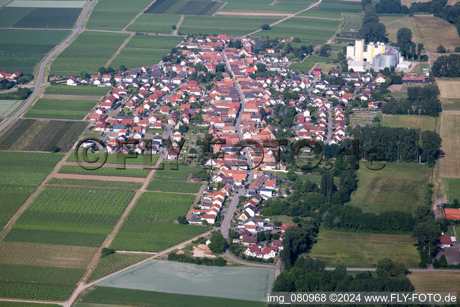 Photographie aérienne de Freimersheim dans le département Rhénanie-Palatinat, Allemagne