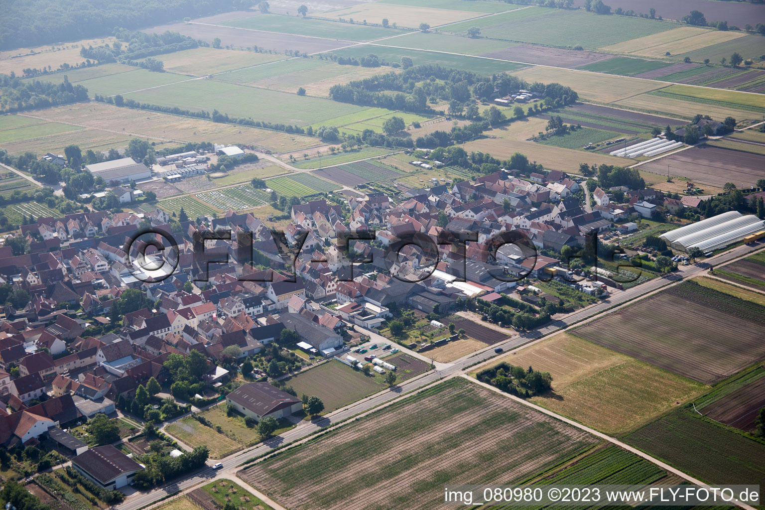 Zeiskam dans le département Rhénanie-Palatinat, Allemagne vue du ciel