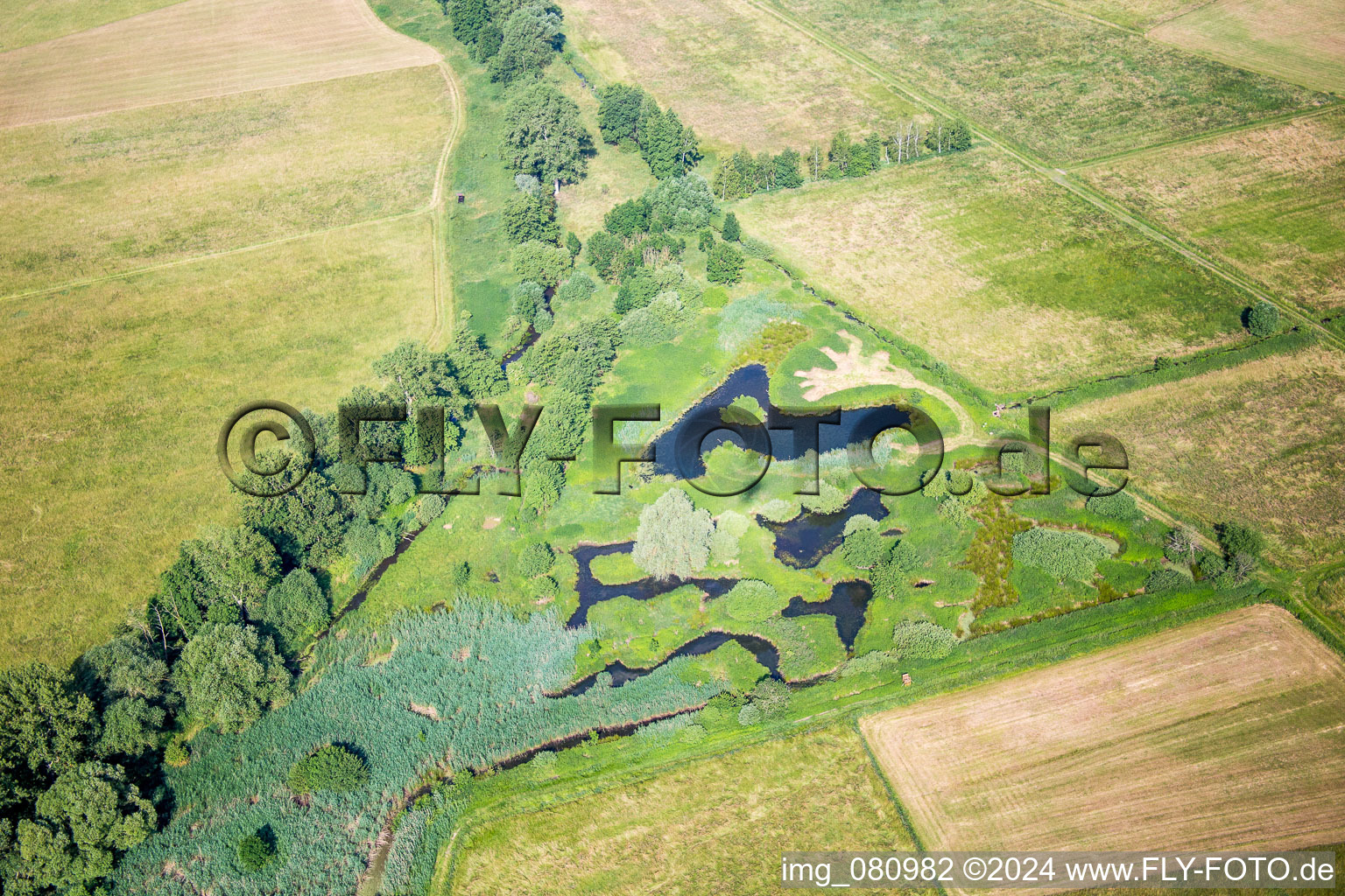 Vue aérienne de Piscines et surface d'eau de marécage dans un paysage d'étang à Knittelsheim dans le département Rhénanie-Palatinat, Allemagne