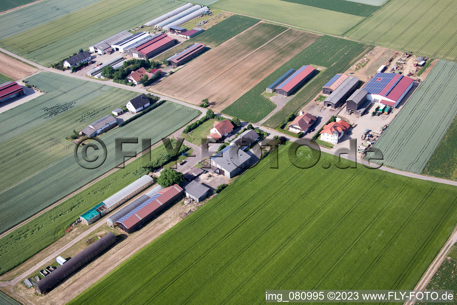 Quartier Herxheim in Herxheim bei Landau dans le département Rhénanie-Palatinat, Allemagne vu d'un drone