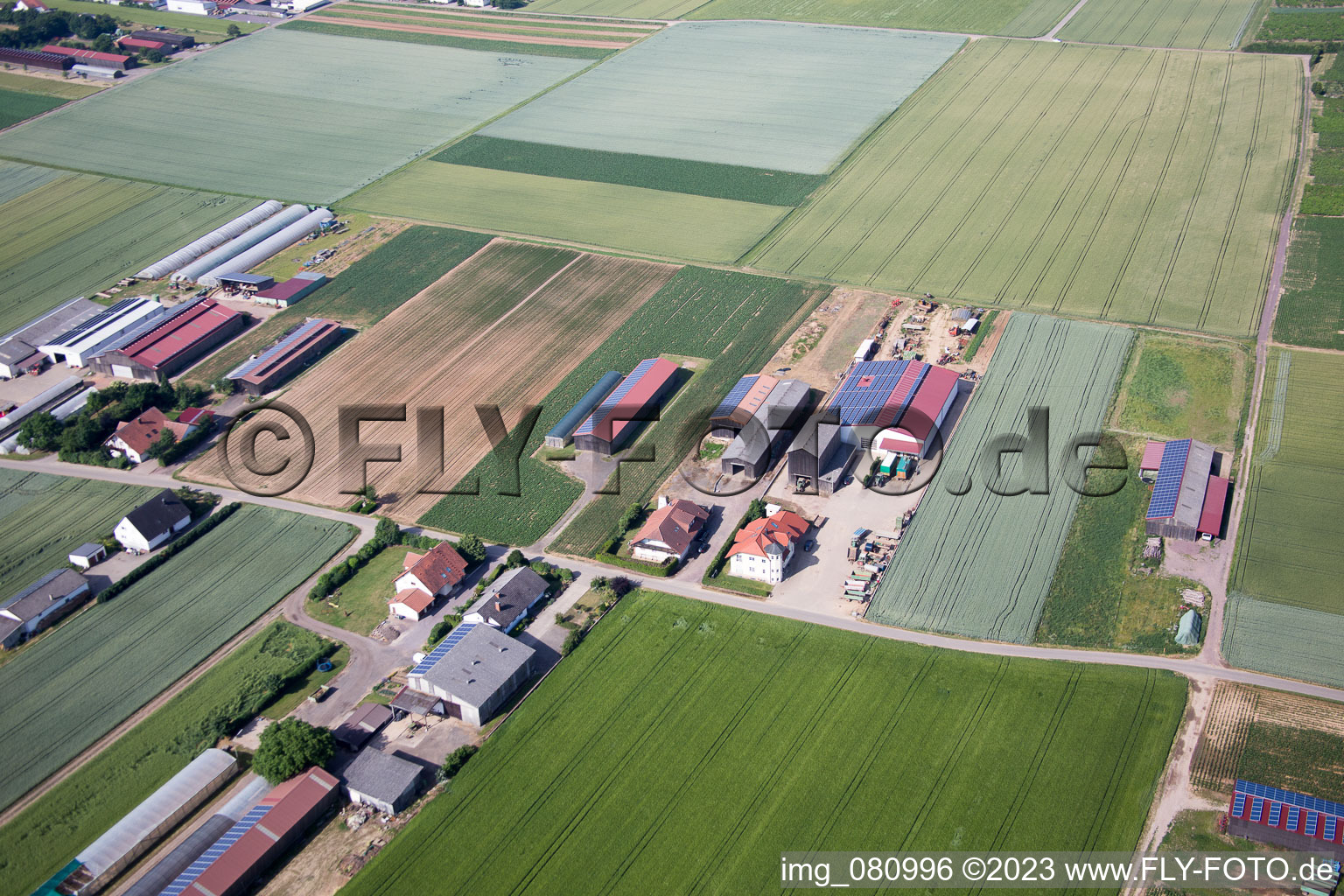 Vue aérienne de Quartier Herxheim in Herxheim bei Landau dans le département Rhénanie-Palatinat, Allemagne