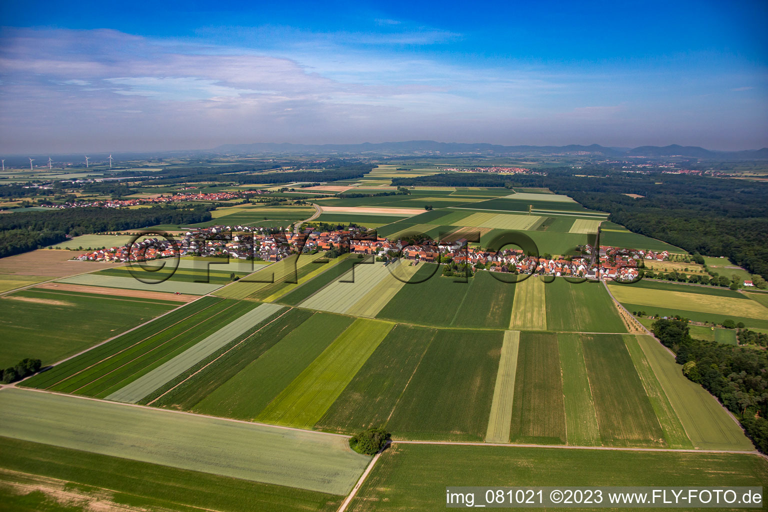Photographie aérienne de Quartier Hayna in Herxheim bei Landau/Pfalz dans le département Rhénanie-Palatinat, Allemagne