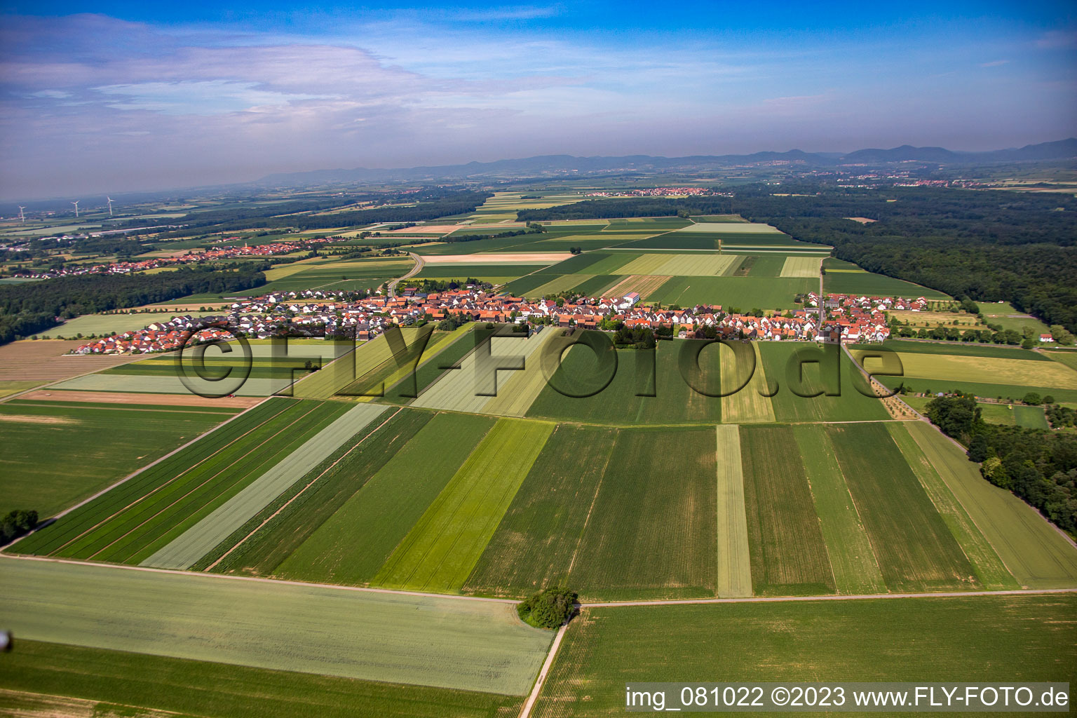 Vue oblique de Quartier Hayna in Herxheim bei Landau/Pfalz dans le département Rhénanie-Palatinat, Allemagne