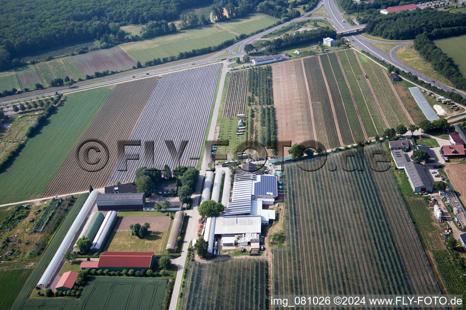 Kandel dans le département Rhénanie-Palatinat, Allemagne du point de vue du drone