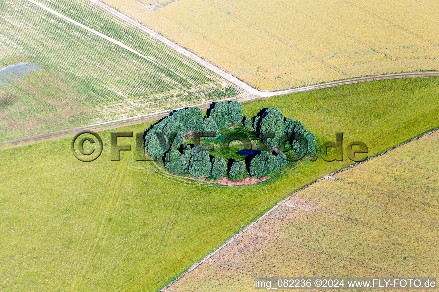 Vue aérienne de Arbres au bord d'un petit étang rond au milieu des champs à Rhodon à Selommes dans le département Loir et Cher, France