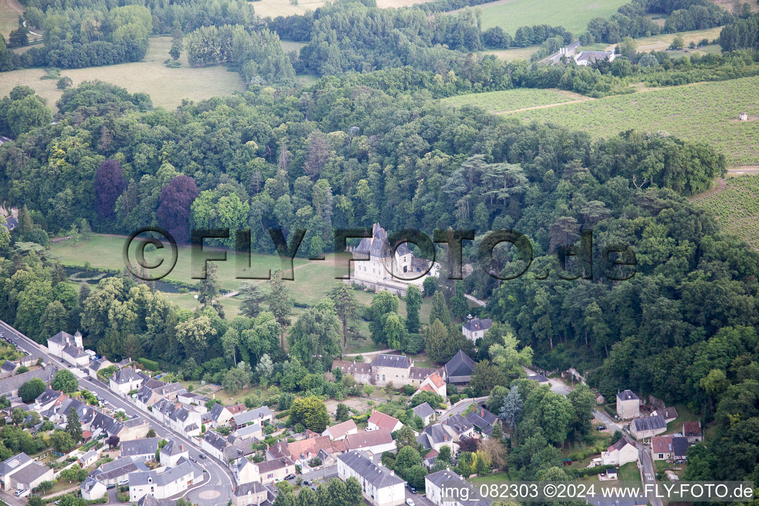 Photographie aérienne de Pocé-sur-Cisse dans le département Indre et Loire, France