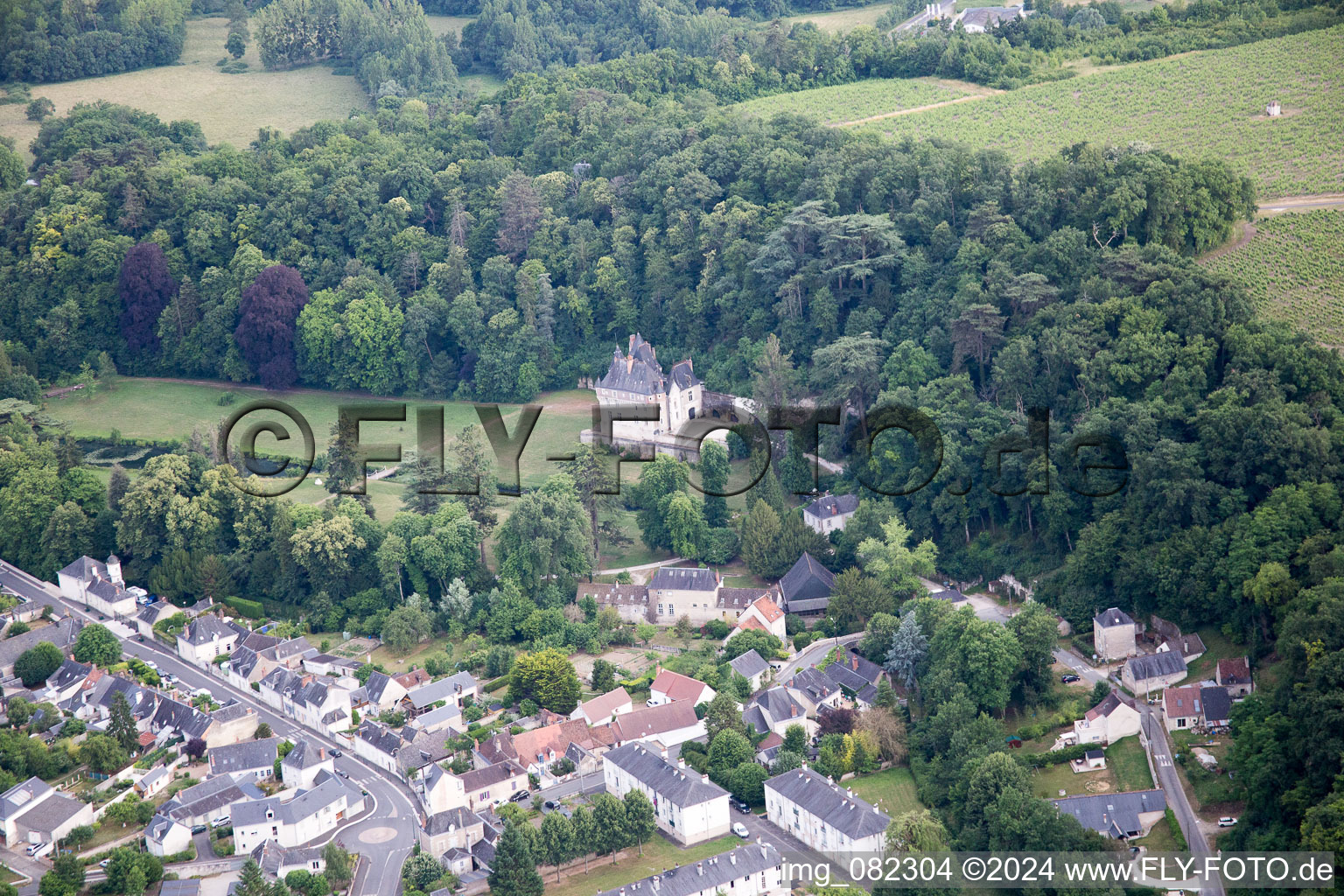 Vue oblique de Pocé-sur-Cisse dans le département Indre et Loire, France