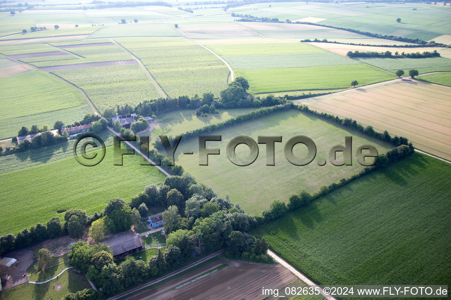 Photographie aérienne de Minfeld dans le département Rhénanie-Palatinat, Allemagne