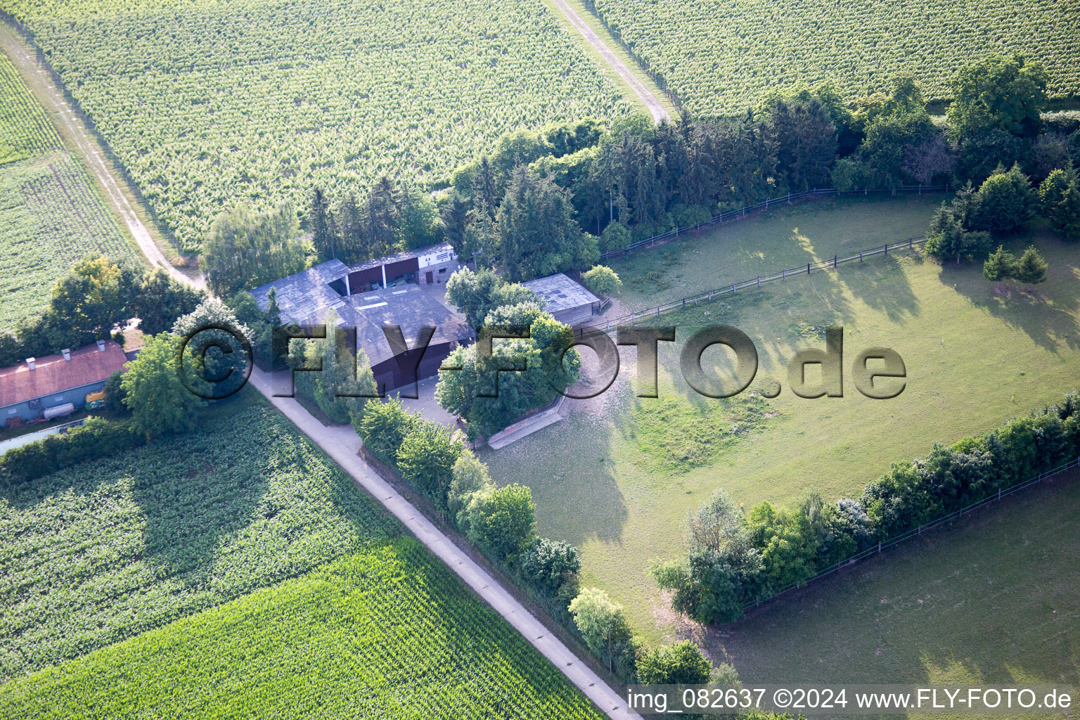 Minfeld dans le département Rhénanie-Palatinat, Allemagne d'en haut