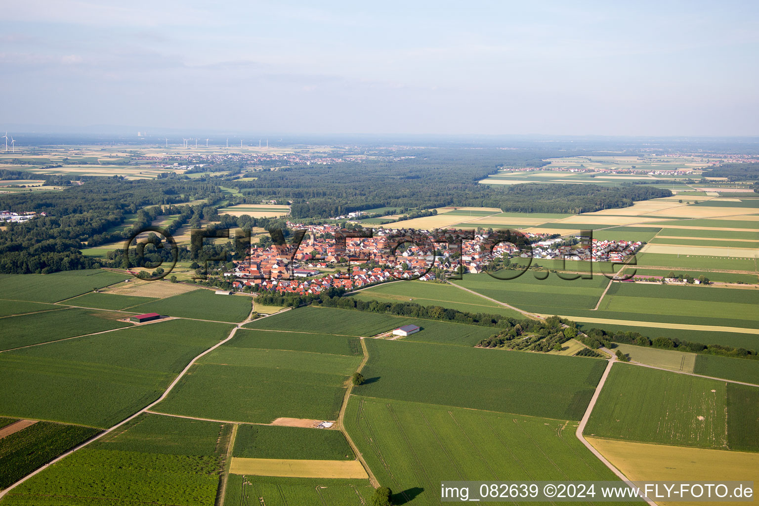 Steinweiler dans le département Rhénanie-Palatinat, Allemagne du point de vue du drone