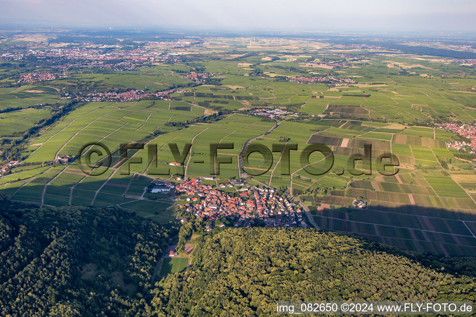 Photographie aérienne de Eschbach dans le département Rhénanie-Palatinat, Allemagne