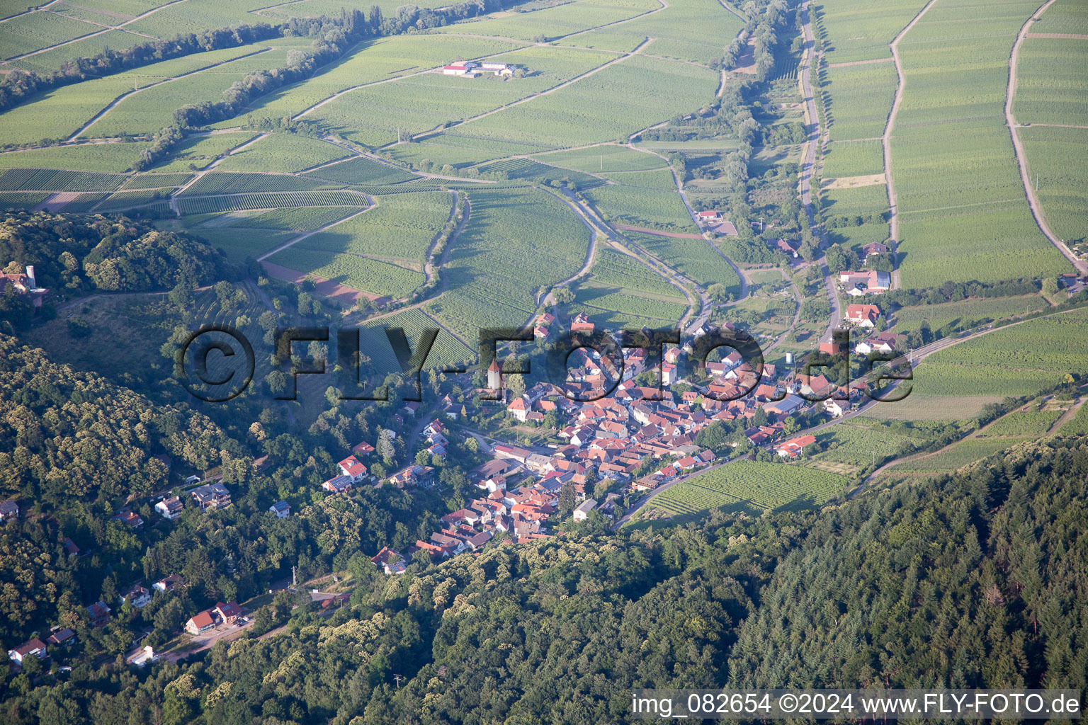 Vue aérienne de Leinsweiler dans le département Rhénanie-Palatinat, Allemagne