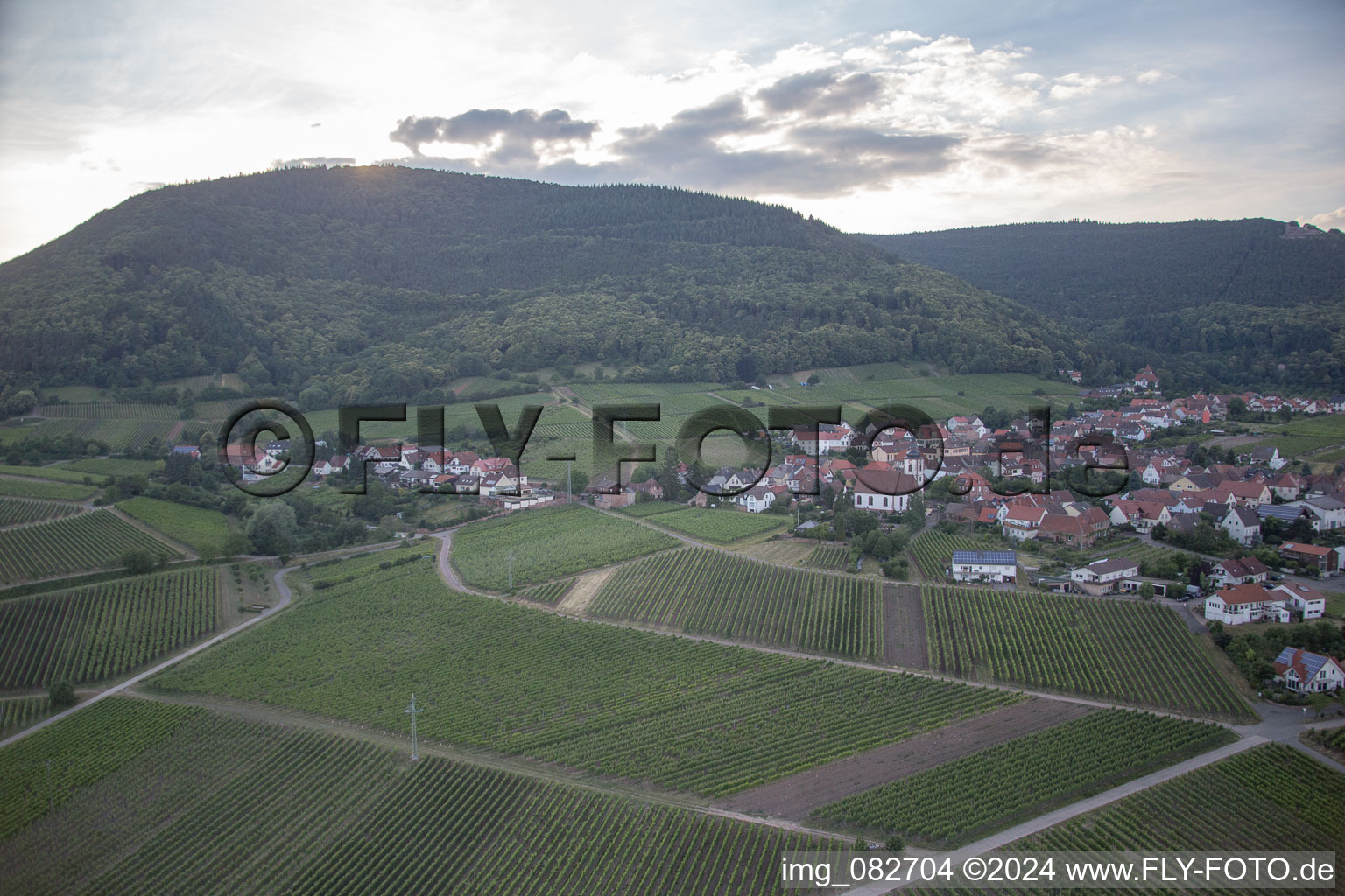 Vue oblique de Weyher in der Pfalz dans le département Rhénanie-Palatinat, Allemagne