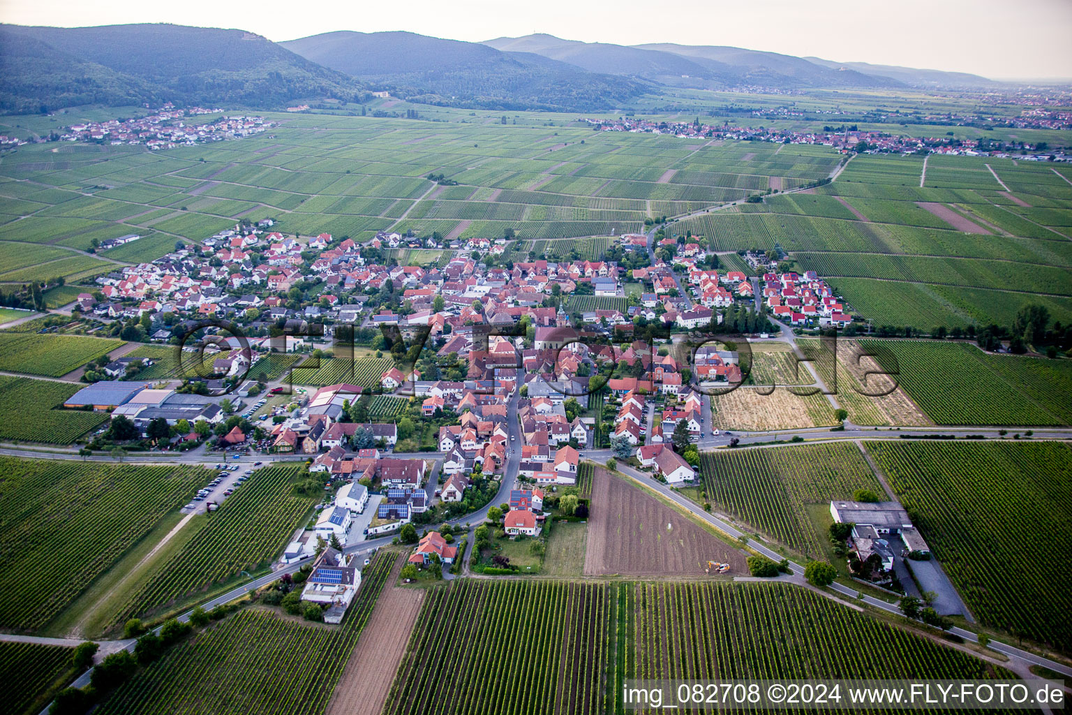 Vue aérienne de Vignobles à Hainfeld dans le département Rhénanie-Palatinat, Allemagne