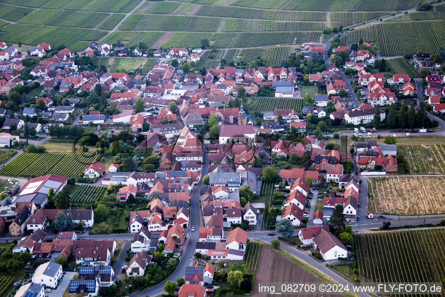 Vue aérienne de Vignobles à Hainfeld dans le département Rhénanie-Palatinat, Allemagne