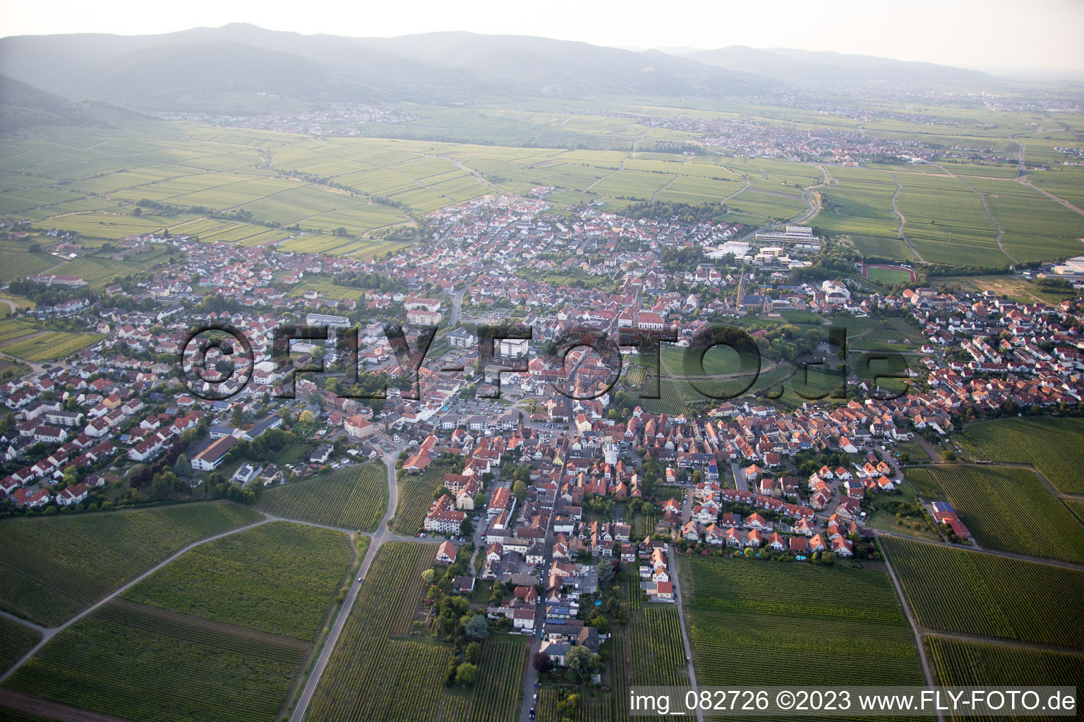 Vue aérienne de Edenkoben dans le département Rhénanie-Palatinat, Allemagne