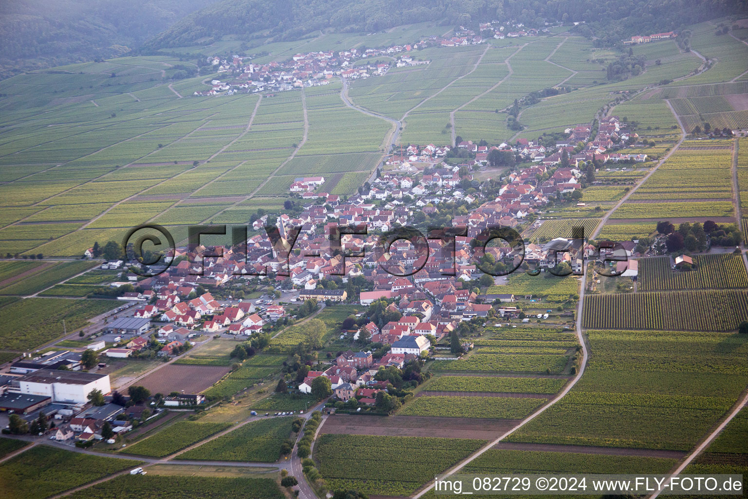 Vue aérienne de Rhodt unter Rietburg dans le département Rhénanie-Palatinat, Allemagne