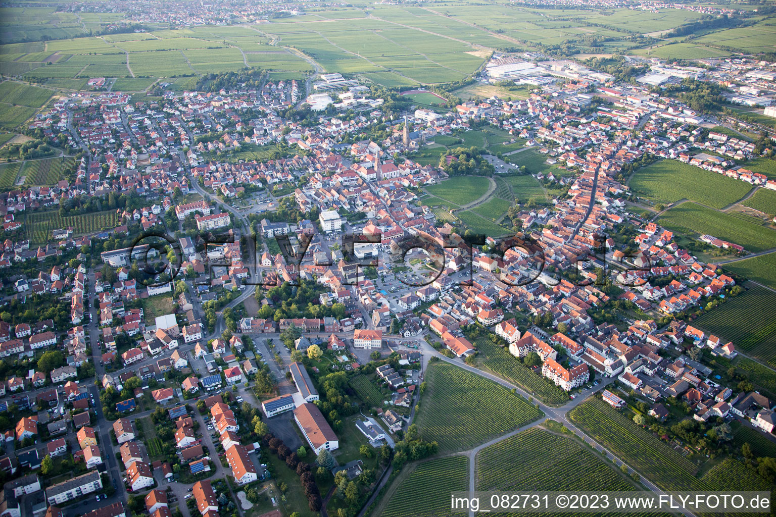 Edenkoben dans le département Rhénanie-Palatinat, Allemagne d'en haut