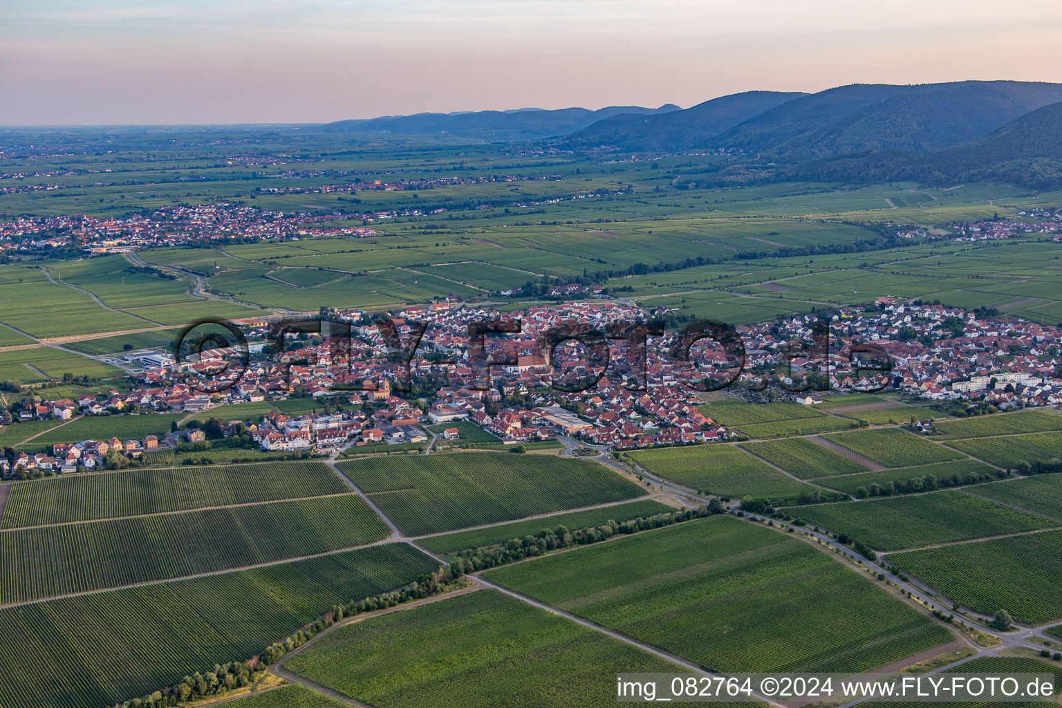 Vue aérienne de Du nord à Maikammer dans le département Rhénanie-Palatinat, Allemagne