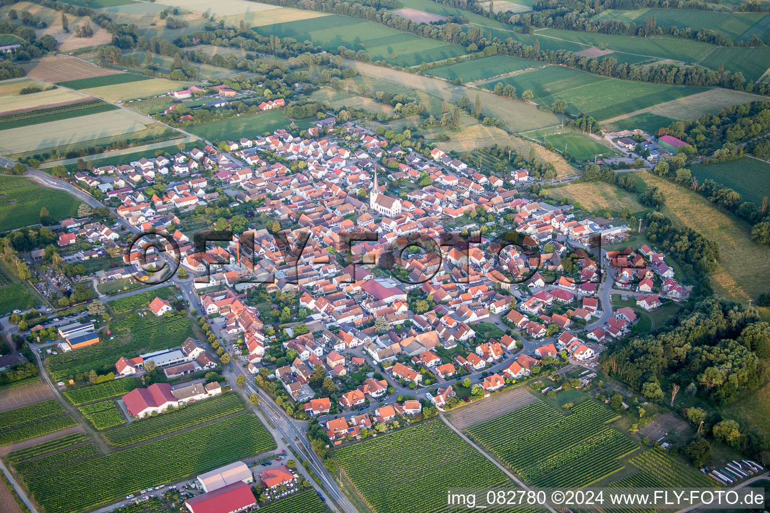 Photographie aérienne de Champs agricoles et surfaces utilisables à Venningen dans le département Rhénanie-Palatinat, Allemagne