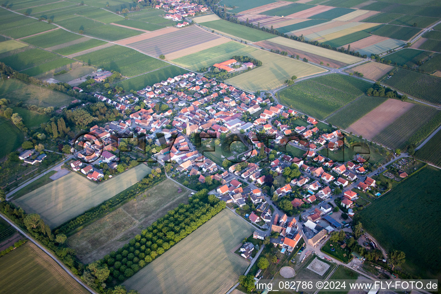 Großfischlingen dans le département Rhénanie-Palatinat, Allemagne vue d'en haut