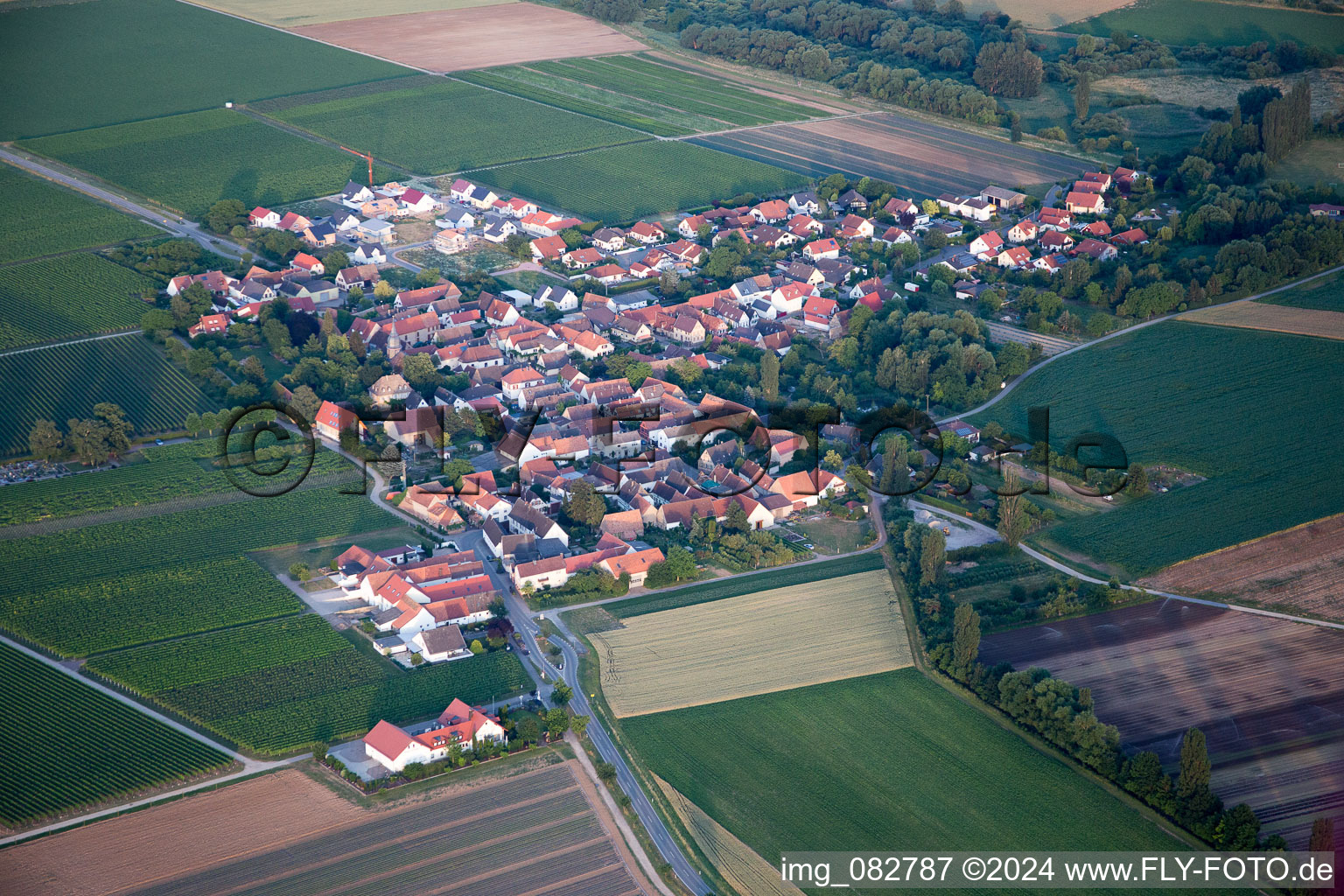 Vue aérienne de Kleinfischlingen dans le département Rhénanie-Palatinat, Allemagne