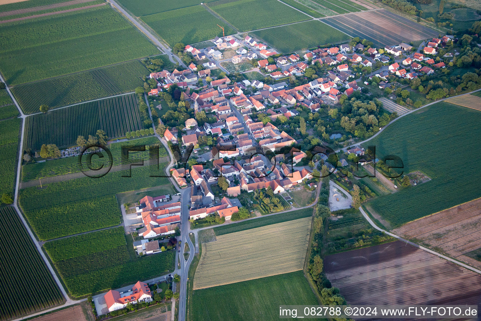 Photographie aérienne de Kleinfischlingen dans le département Rhénanie-Palatinat, Allemagne