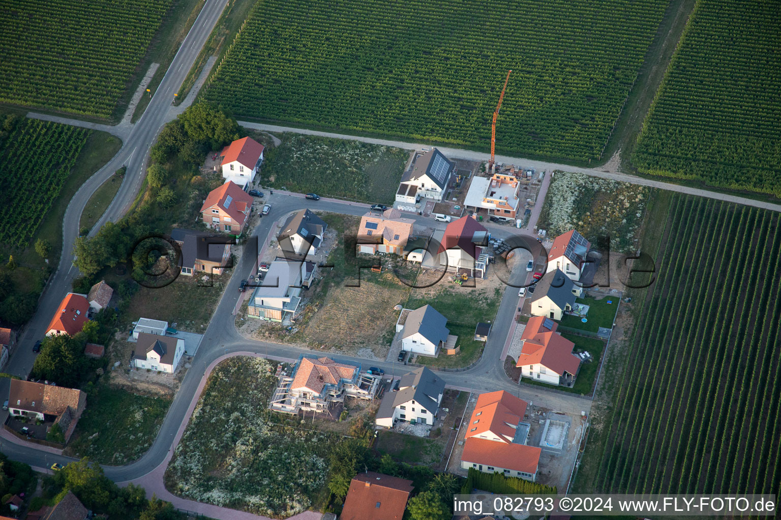 Kleinfischlingen dans le département Rhénanie-Palatinat, Allemagne vue d'en haut