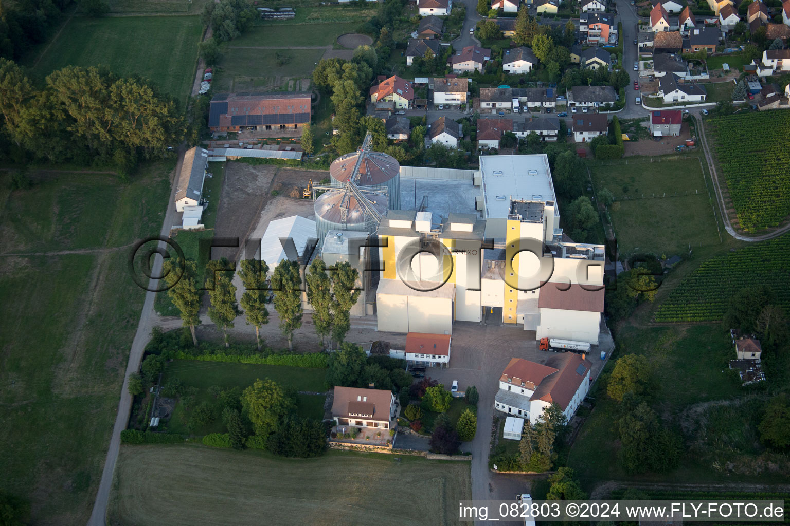 Freimersheim dans le département Rhénanie-Palatinat, Allemagne depuis l'avion