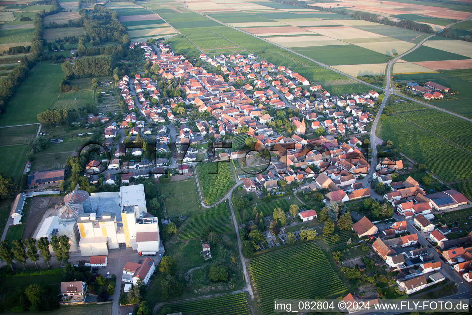 Vue aérienne de Moulin à grains Cornexo GmbH (Palatinat) à Freimersheim dans le département Rhénanie-Palatinat, Allemagne