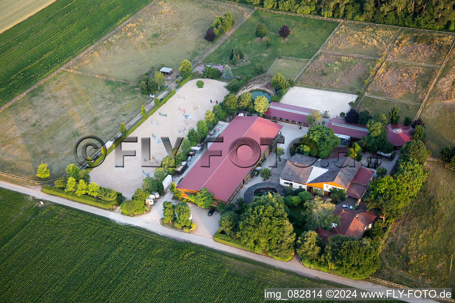 Image drone de Freimersheim dans le département Rhénanie-Palatinat, Allemagne