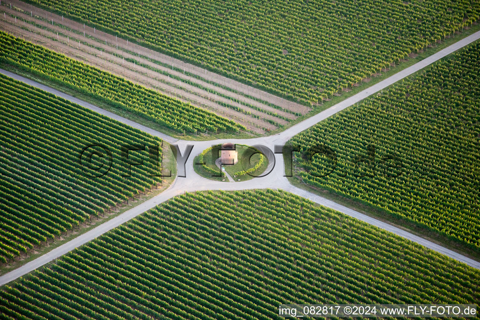 Vue aérienne de Tour du vigneron à le quartier Niederhochstadt in Hochstadt dans le département Rhénanie-Palatinat, Allemagne